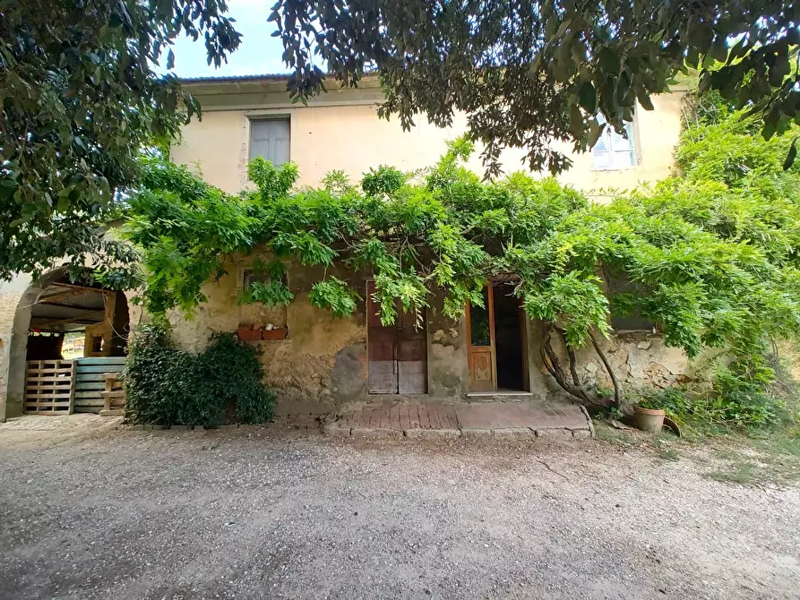 Immagine 1 di Casa colonica in vendita  a Casciana Terme Lari