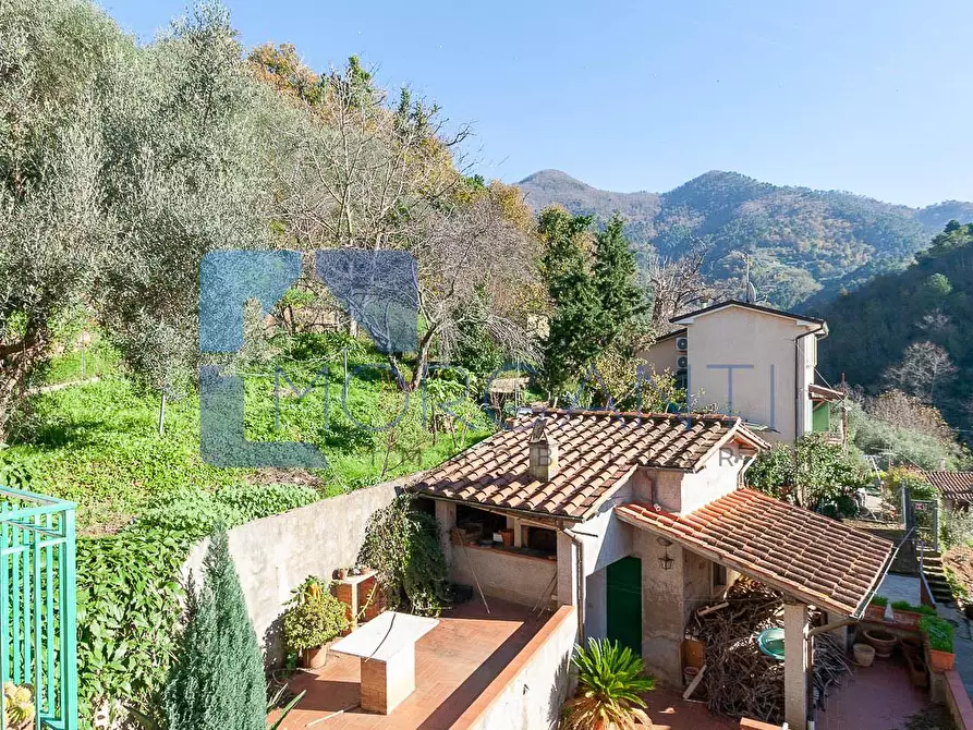 Immagine 4 di Casa semindipendente in vendita  a Pietrasanta