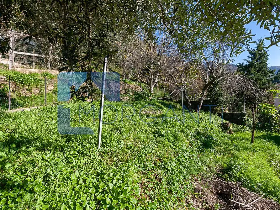 Immagine 8 di Casa semindipendente in vendita  a Pietrasanta