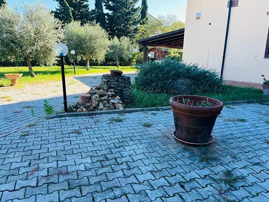 Immagine 4 di Appartamento in vendita  a Piombino