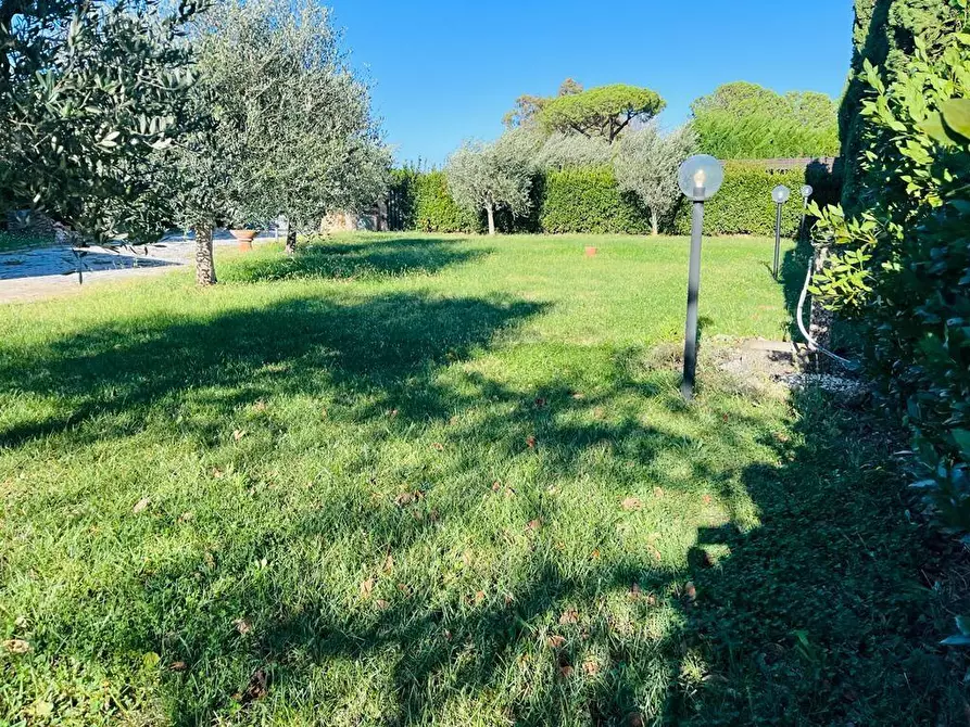 Immagine 3 di Appartamento in vendita  a Piombino