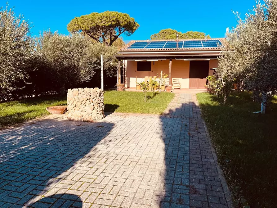 Immagine 2 di Appartamento in vendita  a Piombino