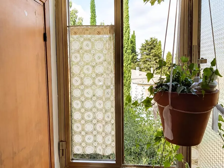 Immagine 4 di Appartamento in vendita  a Peccioli