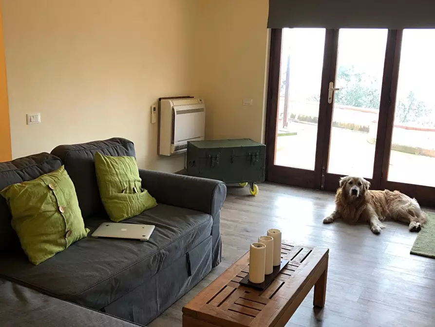 Immagine 4 di Casa bifamiliare in vendita  a Massarosa