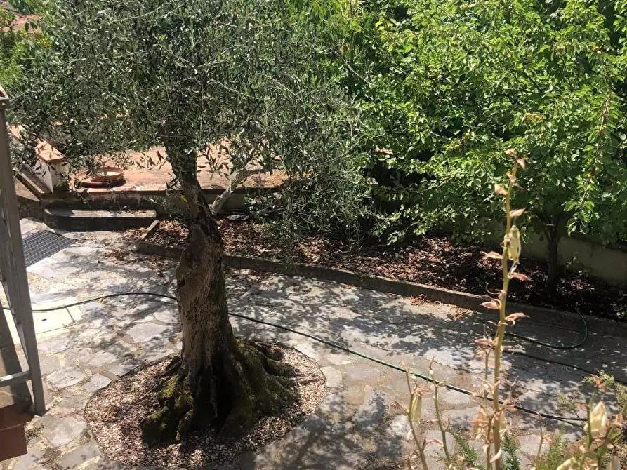 Immagine 16 di Casa bifamiliare in vendita  a Massarosa