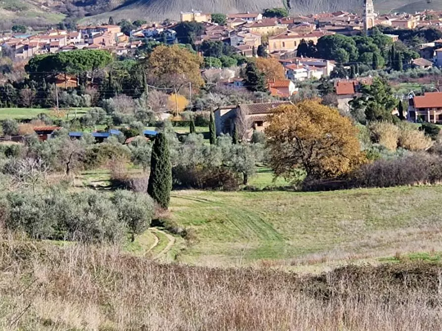 Immagine 5 di Terreno agricolo in vendita  a Casciana Terme Lari