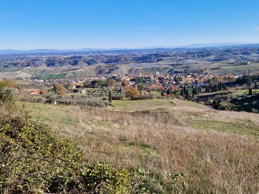 Immagine 4 di Terreno agricolo in vendita  a Casciana Terme Lari