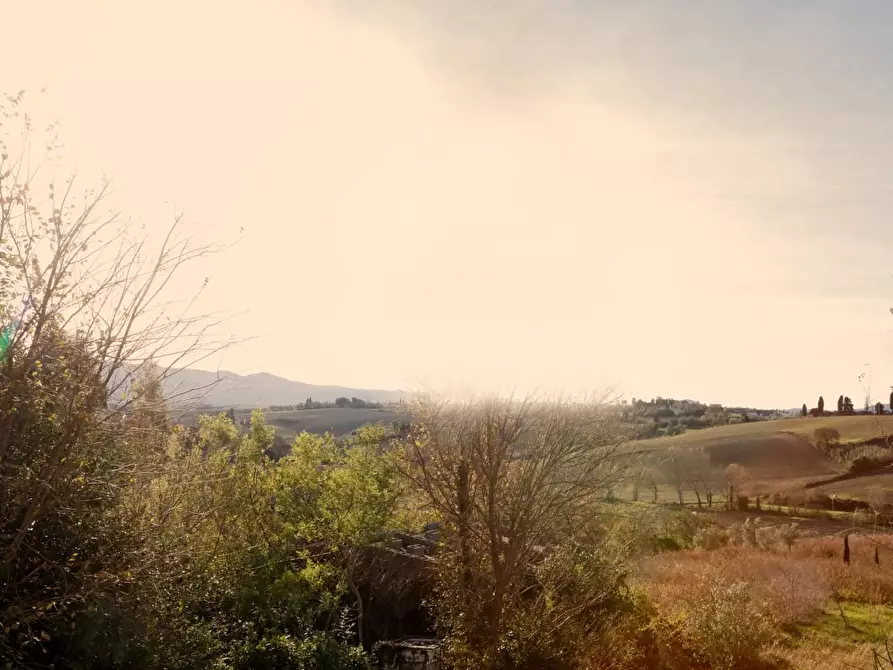 Immagine 24 di Casa bifamiliare in vendita  a Orciano Pisano