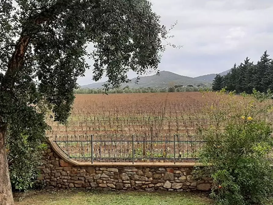 Immagine 20 di Villa in vendita  a Suvereto