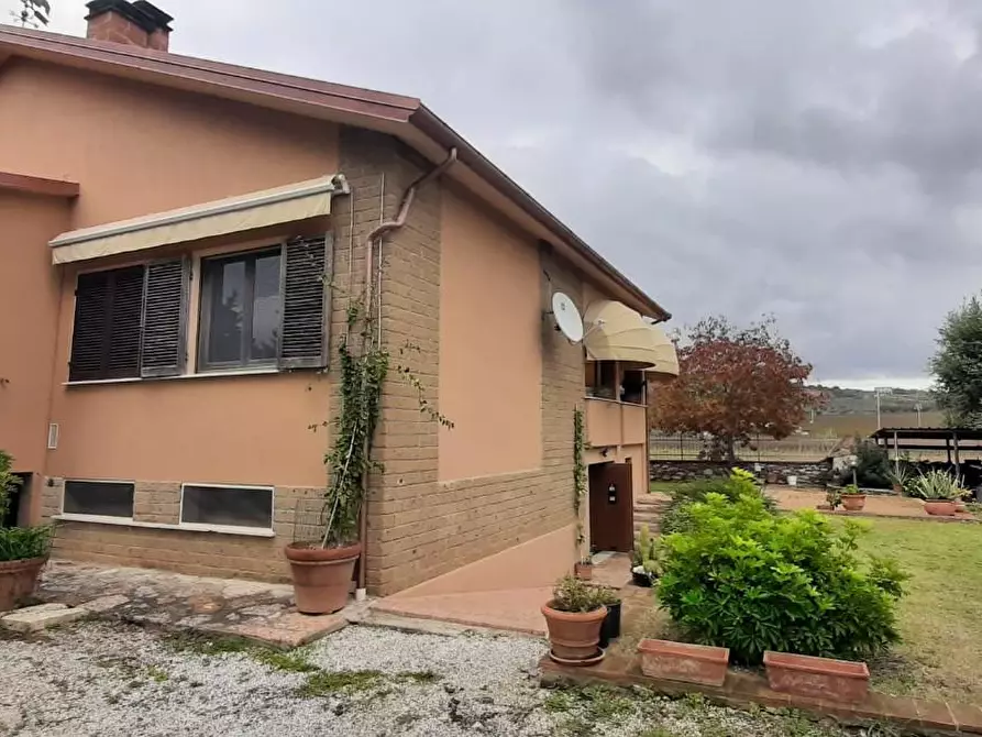 Immagine 4 di Villa in vendita  a Suvereto