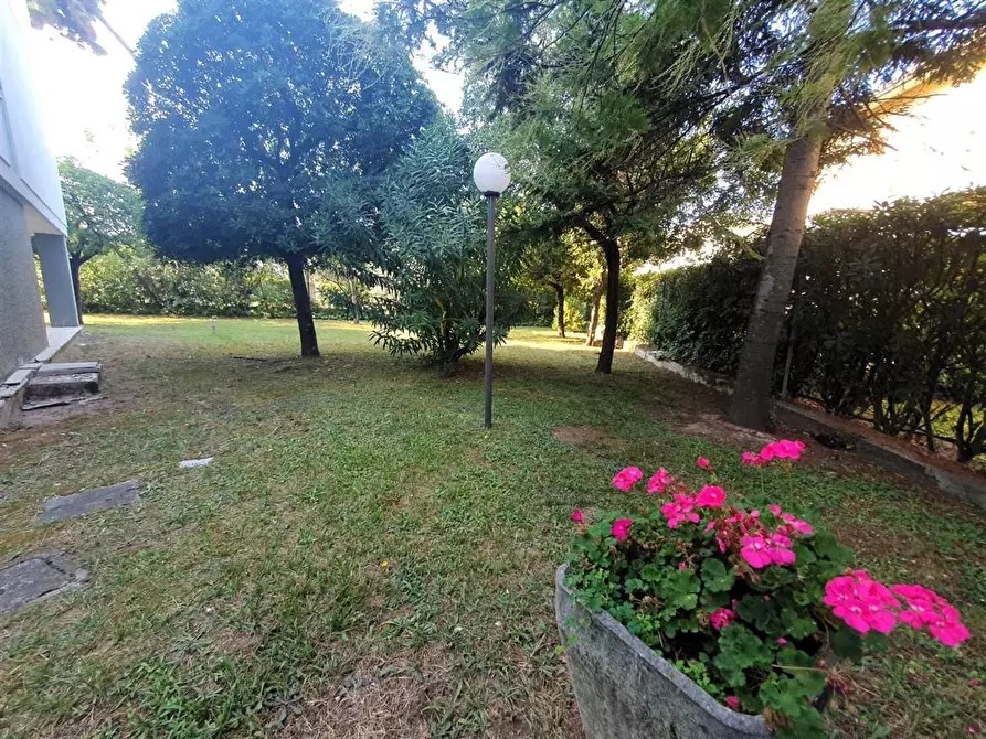 Immagine 19 di Appartamento in vendita  a Massa