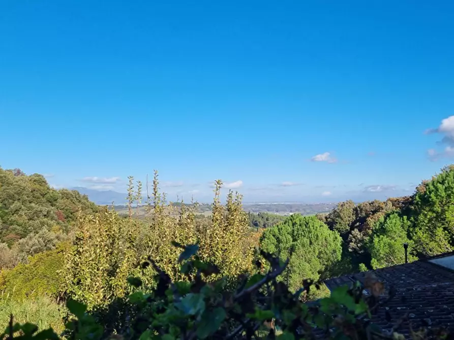 Immagine 14 di Casa colonica in vendita  a Collesalvetti