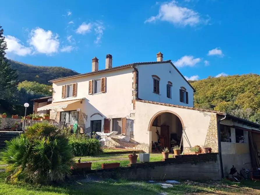 Immagine 7 di Casa colonica in vendita  a Collesalvetti