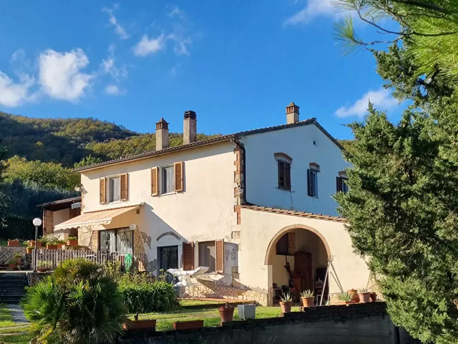 Immagine 2 di Casa colonica in vendita  a Collesalvetti