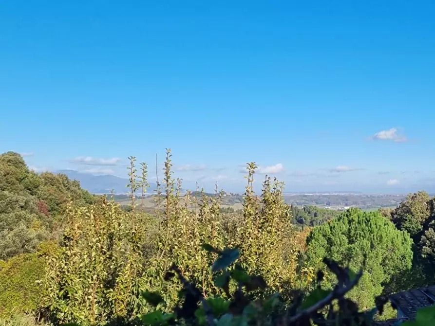 Immagine 13 di Casa colonica in vendita  a Collesalvetti