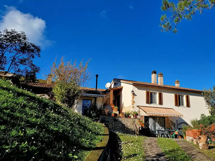 Immagine 19 di Casa colonica in vendita  a Collesalvetti