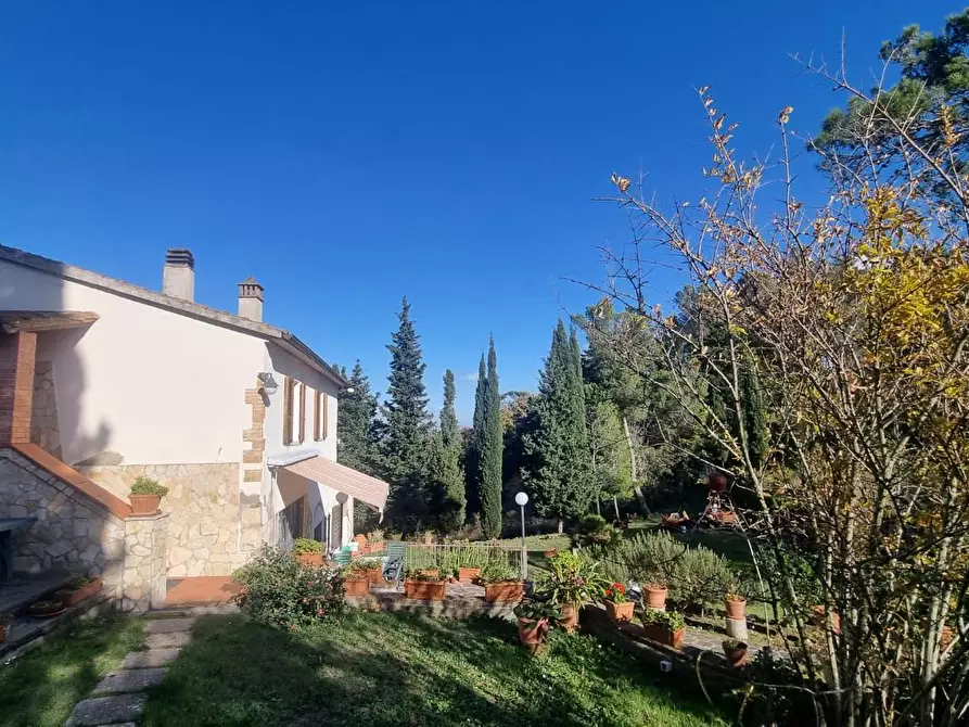 Immagine 10 di Casa colonica in vendita  a Collesalvetti