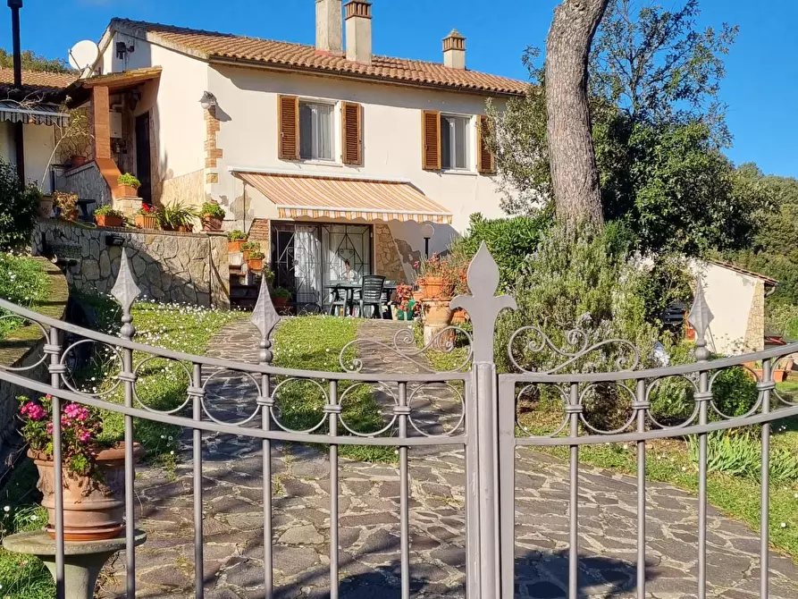 Immagine 17 di Casa colonica in vendita  a Collesalvetti