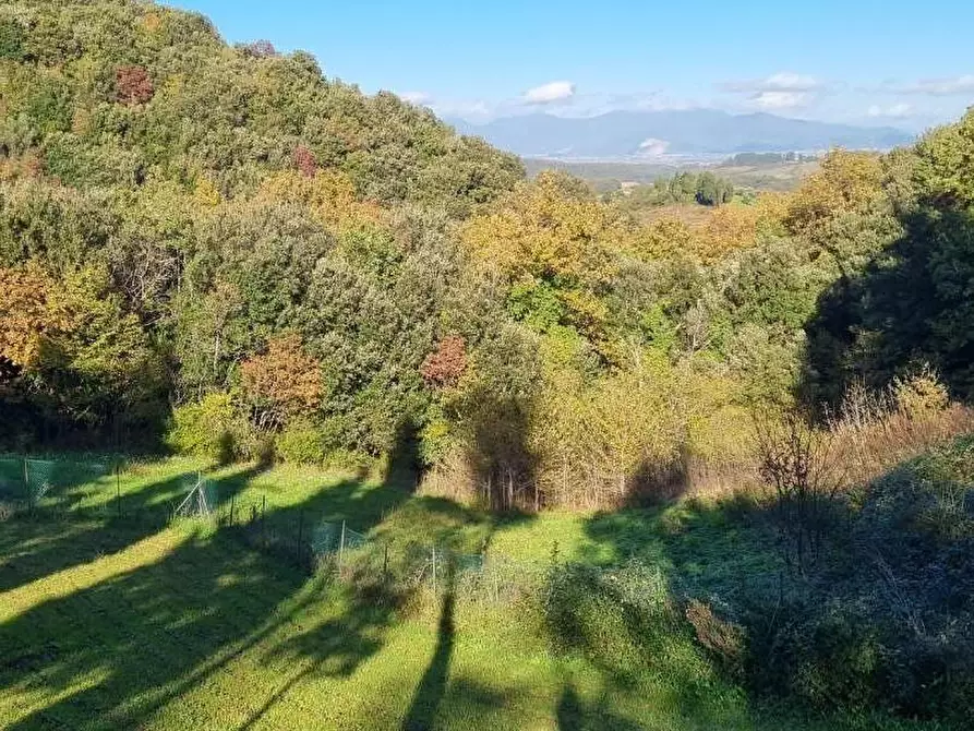 Immagine 5 di Casa colonica in vendita  a Collesalvetti