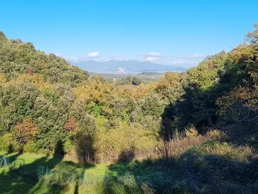 Immagine 3 di Casa colonica in vendita  a Collesalvetti