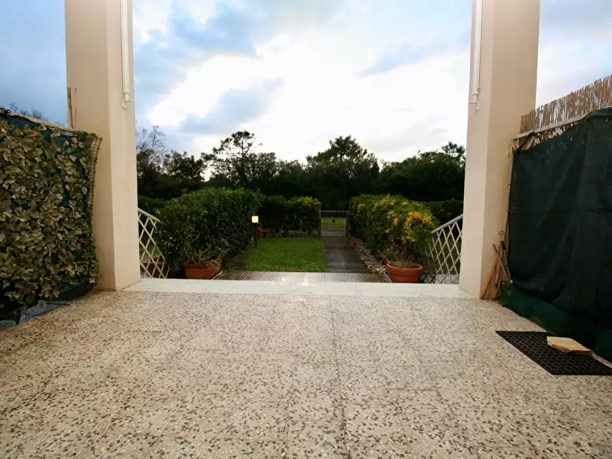 Immagine 3 di Appartamento in affitto  a Pisa