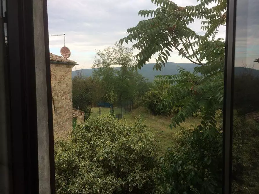 Immagine 11 di Appartamento in vendita  a Radicondoli