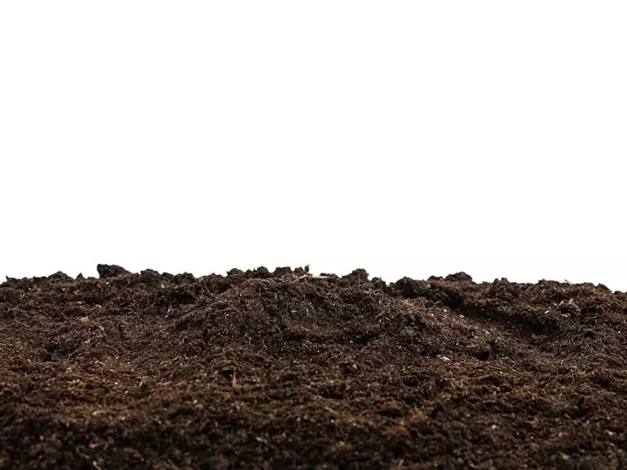 Immagine 1 di Terreno agricolo in vendita  a Casciana Terme Lari