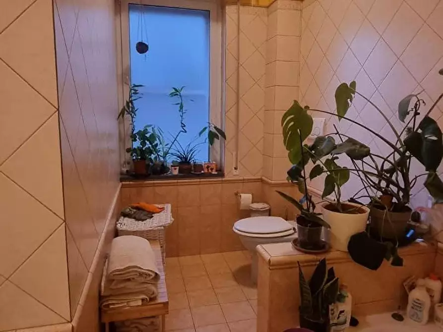 Immagine 10 di Appartamento in vendita  a Collesalvetti