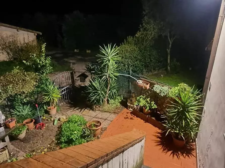 Immagine 27 di Appartamento in vendita  a Collesalvetti