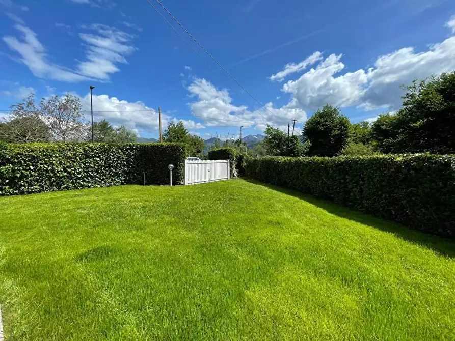 Immagine 8 di Villa in affitto  a Pietrasanta