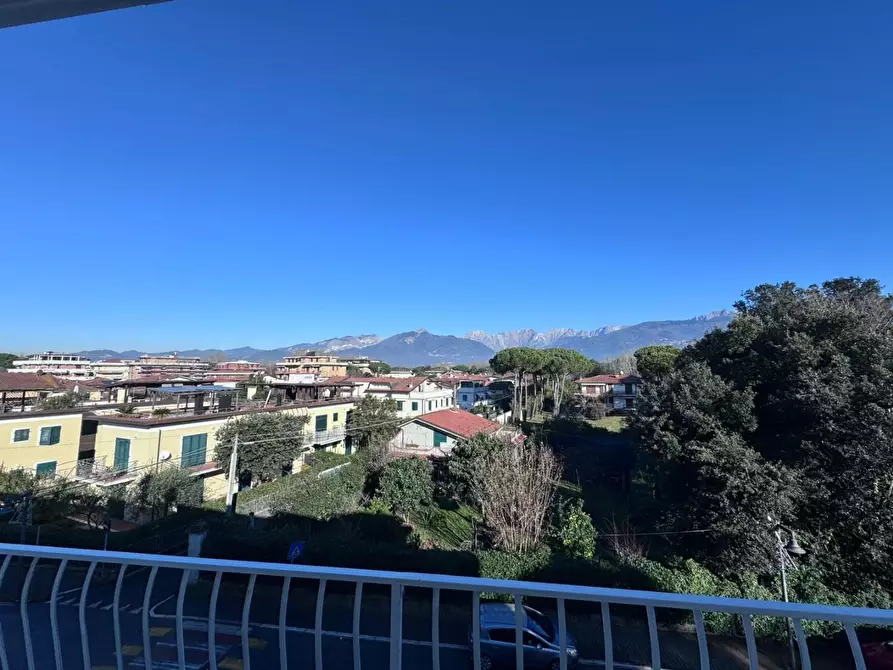 Immagine 4 di Appartamento in vendita  a Massa