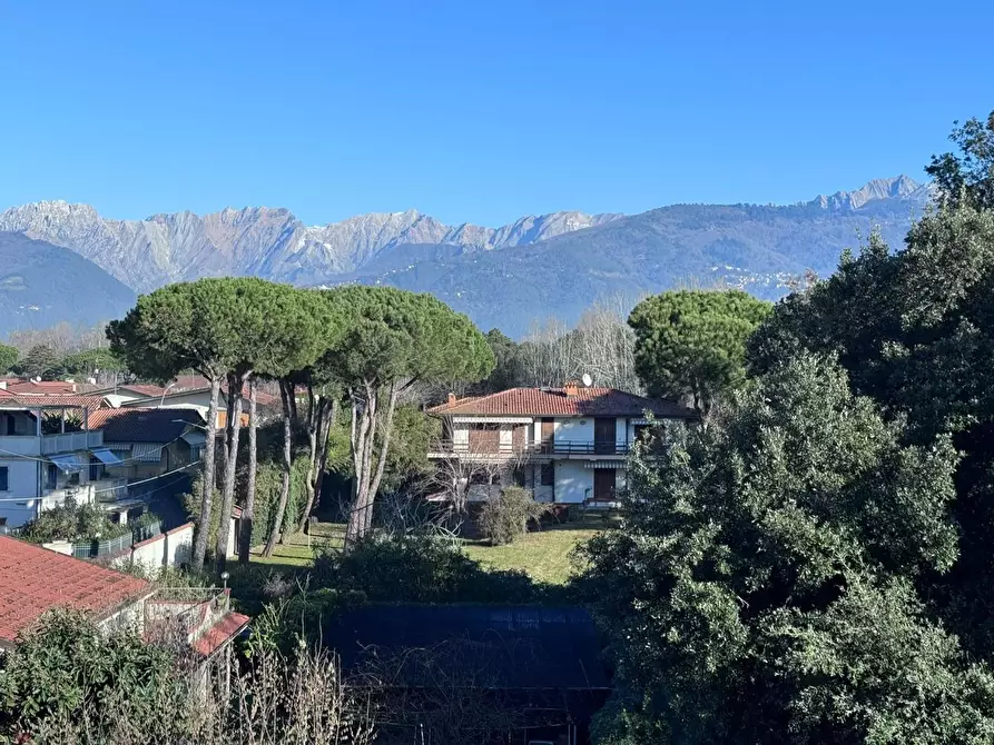 Immagine 14 di Appartamento in vendita  a Massa