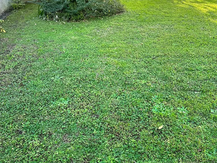 Immagine 7 di Villa in vendita  a Massa