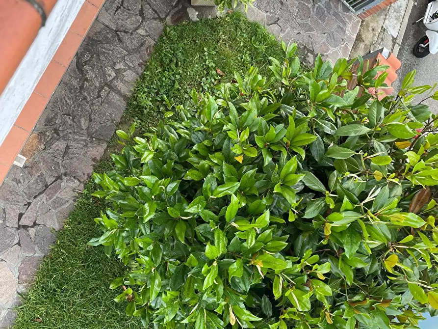 Immagine 37 di Casa bifamiliare in vendita  a Santa Croce Sull'arno