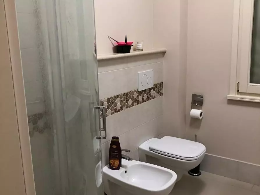 Immagine 16 di Appartamento in affitto  a Calcinaia