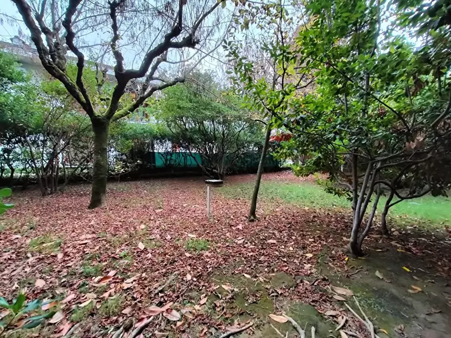 Immagine 21 di Appartamento in vendita  a Massa