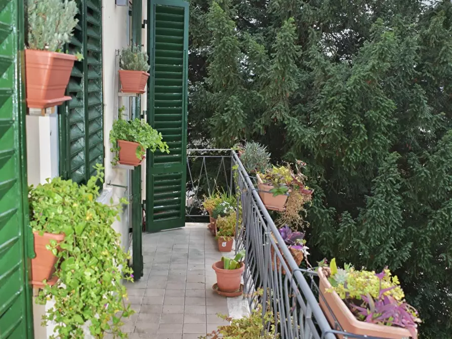 Immagine 12 di Appartamento in vendita  a Montaione