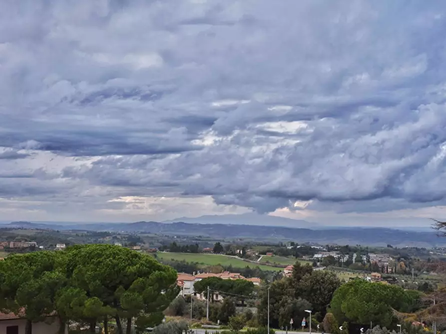 Immagine 13 di Appartamento in vendita  a Montaione