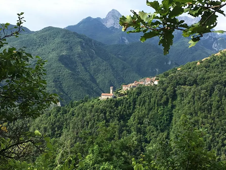 Immagine 28 di Villa in vendita  a Castelnuovo Di Garfagnana