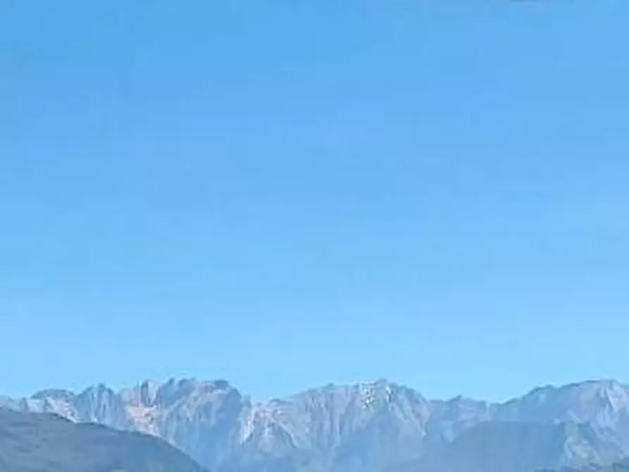 Immagine 5 di Appartamento in vendita  a Massa