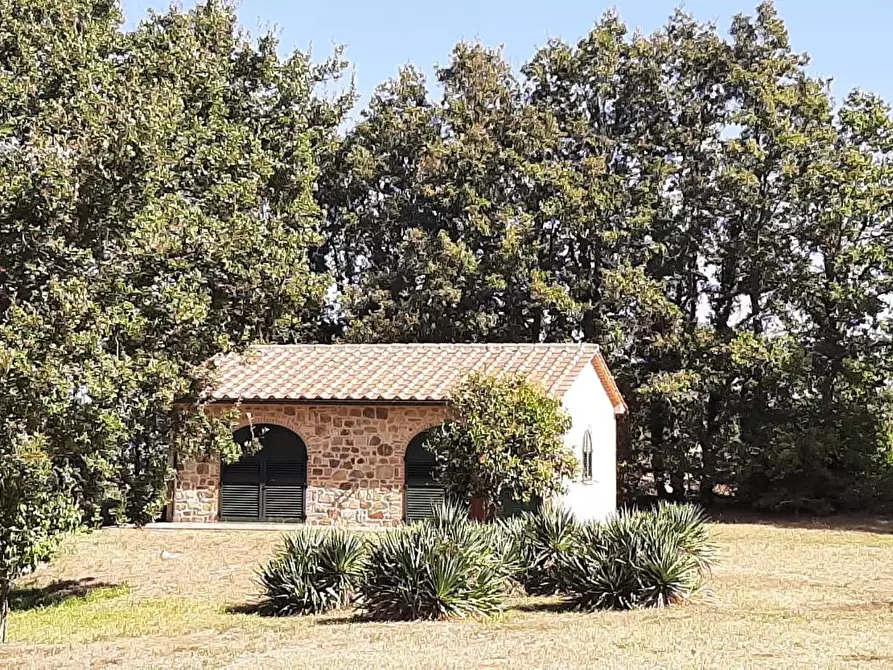 Immagine 25 di Casa colonica in vendita  a Monteverdi Marittimo