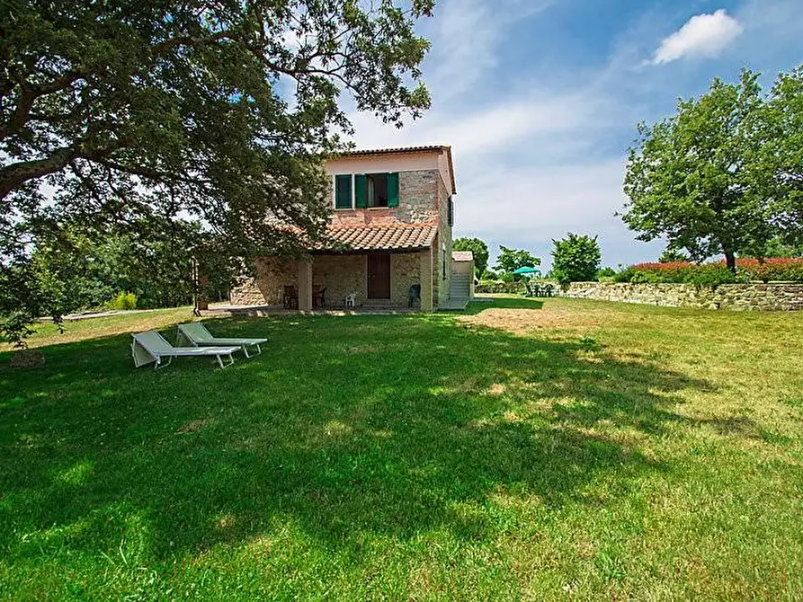 Immagine 6 di Casa colonica in vendita  a Monteverdi Marittimo