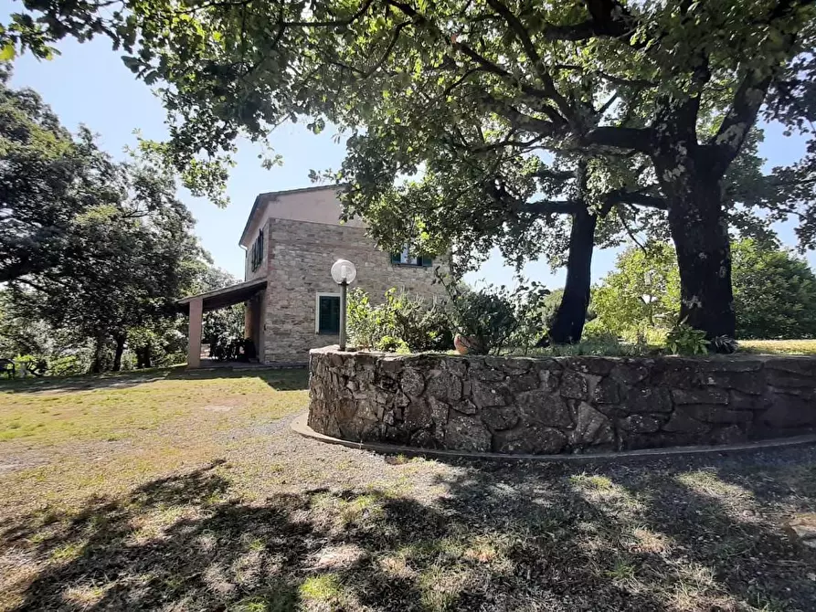 Immagine 32 di Casa colonica in vendita  a Monteverdi Marittimo
