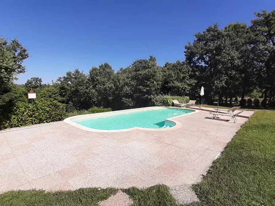 Immagine 36 di Casa colonica in vendita  a Monteverdi Marittimo