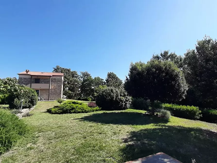 Immagine 37 di Casa colonica in vendita  a Monteverdi Marittimo