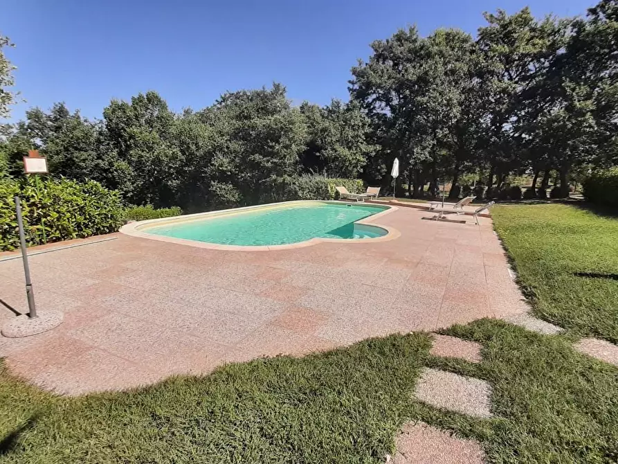 Immagine 46 di Casa colonica in vendita  a Monteverdi Marittimo