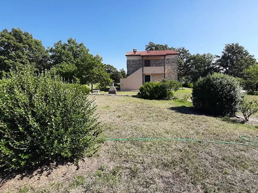 Immagine 30 di Casa colonica in vendita  a Monteverdi Marittimo