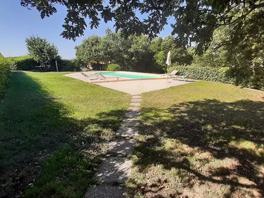 Immagine 39 di Casa colonica in vendita  a Monteverdi Marittimo