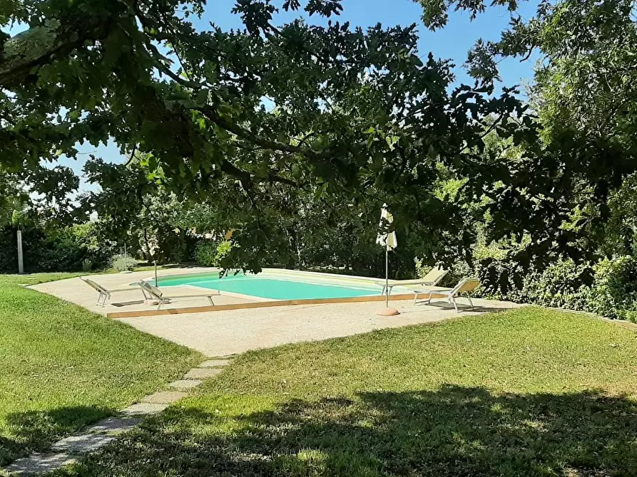 Immagine 43 di Casa colonica in vendita  a Monteverdi Marittimo