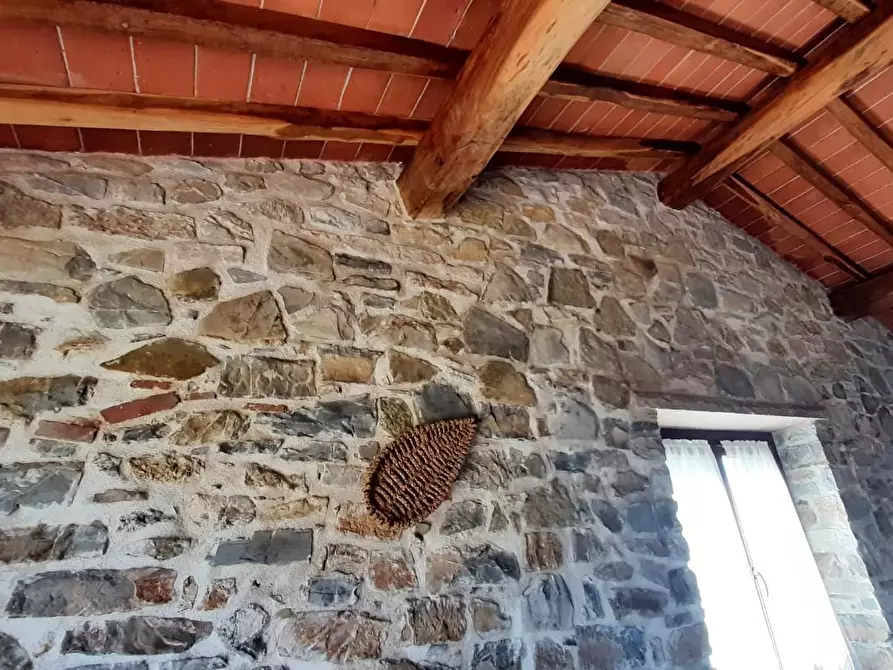 Immagine 40 di Casa colonica in vendita  a Monteverdi Marittimo